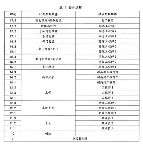 P03-02-03 图1 晋升通道